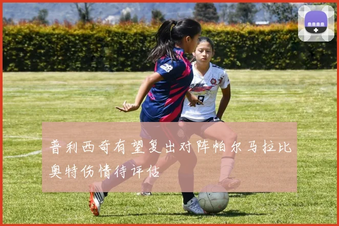 普利西奇有望复出对阵帕尔马拉比奥特伤情待评估