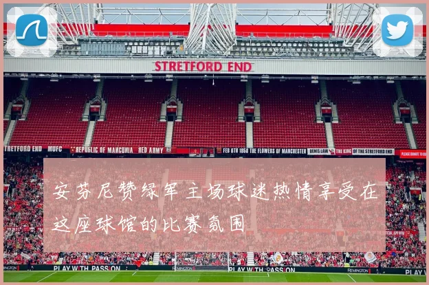 安芬尼赞绿军主场球迷热情享受在这座球馆的比赛氛围